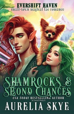 bokomslag Shamrocks & Second Chances