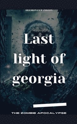 Last Light Of Georgia 1