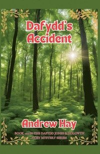 bokomslag Dafydd's Accident