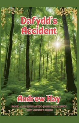 Dafydd's Accident 1