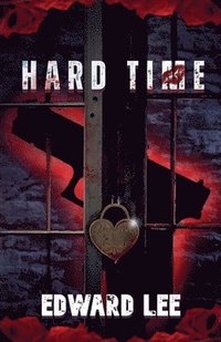bokomslag Hard Time