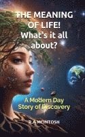 Meaning Of Life 1