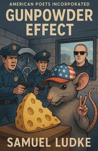 bokomslag Gunpowder Effect