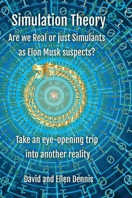 bokomslag Simulation Theory