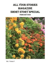 bokomslag All Your Stories Magazine Short Story Special