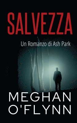 bokomslag Salvezza: Un Romanzo di Ash Park