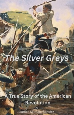 bokomslag The Silver Greys