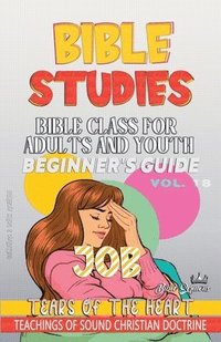 bokomslag Bible Class for Adults and Youth: Beginner's Guide: Job