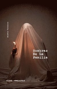 bokomslag Sombras De La Familia: Relatos Verídicos