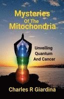 bokomslag Mysteries of the Mitochondria