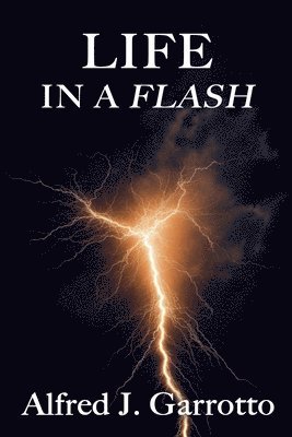 Life in a Flash 1