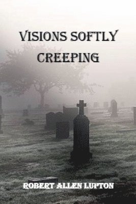 bokomslag Visions Softly Creeping