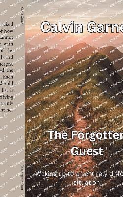 bokomslag Forgotten Guest