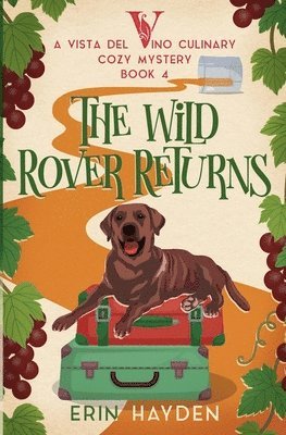 bokomslag The Wild Rover Returns