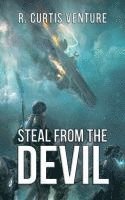 bokomslag Steal from the Devil