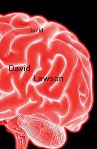 bokomslag Lucid