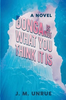 A Donga Is Not What You Think It Is 1