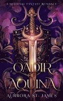 bokomslag Qadir - A Medieval Fantasy Romance