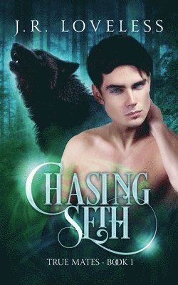 Chasing Seth 1