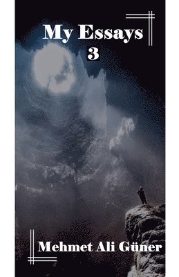 My Essays-3 1