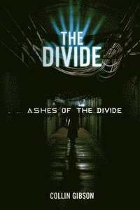 bokomslag Ashes of The Divide