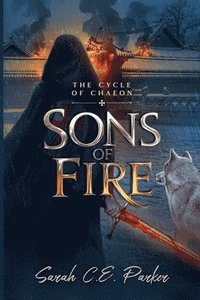 bokomslag Sons of Fire