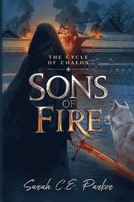 bokomslag Sons of Fire