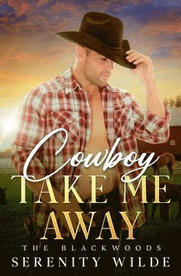 Cowboy Take Me Away 1