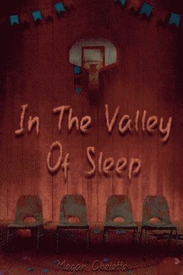 bokomslag In the Valley of Sleep