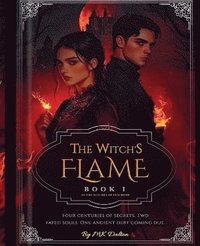 bokomslag Witch's Fire