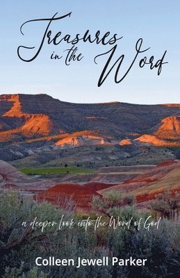Colleen Jewell Parker - Treasures in the Word, Häftad