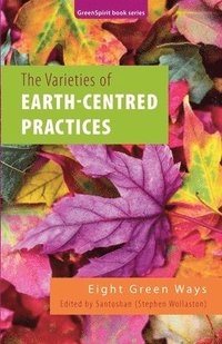 bokomslag The Varieties of Earth-Centred Practices