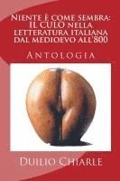 bokomslag Niente è come sembra