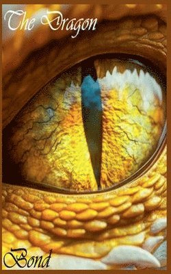 bokomslag Dragonbond