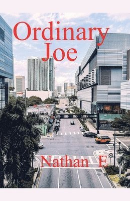 Ordinary Joe 1