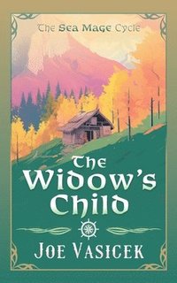 bokomslag Widow's Child