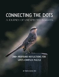 bokomslag Connecting the Dots: A Journey of Unexpected Insights