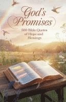 bokomslag God's Promises