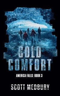 bokomslag Cold Comfort