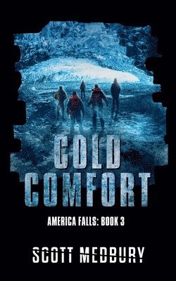 bokomslag Cold Comfort