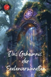 bokomslag Geheimnis der Seelenverwandten