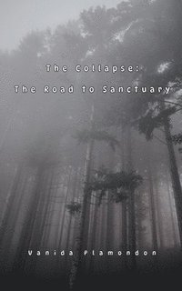 bokomslag The Collapse: The Road to Sanctuary