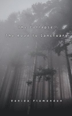 Vanida Plamondon - Collapse, Häftad
