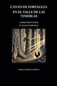 bokomslag Canto de fortaleza en el valle de las tinieblas