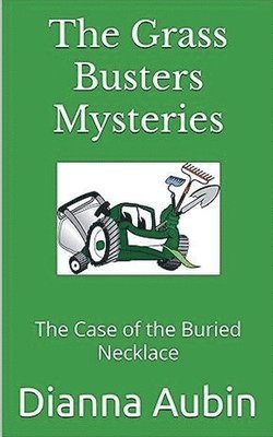 bokomslag The Case of the Buried Necklace