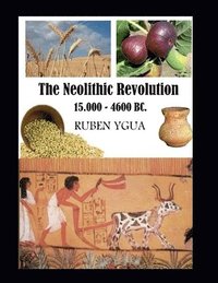 bokomslag Neolithic Revolution