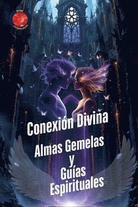 bokomslag Conexión Divina Almas Gemelas y Guías Espirituales