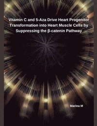 bokomslag Vitamin C and 5-Aza Drive Heart Progenitor Transformation into Heart Muscle Cells by Suppressing the &#946;-catenin Pathway