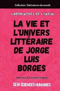 bokomslag Labyrinthes de l'infini: La vie et l'univers littéraire de Jorge Luis Borges