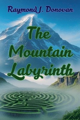 bokomslag Mountain Labyrinth